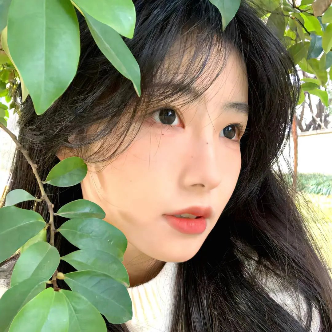 杨光的快乐生活之恋爱先生